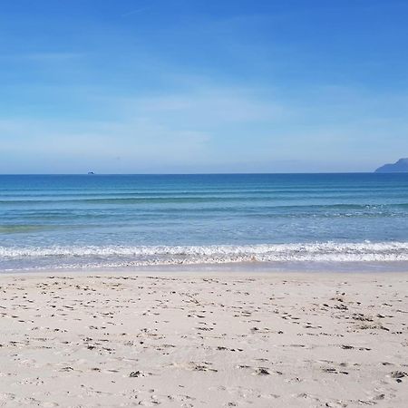 Ideal Property Mallorca - Delicias 阿尔库迪亚 外观 照片