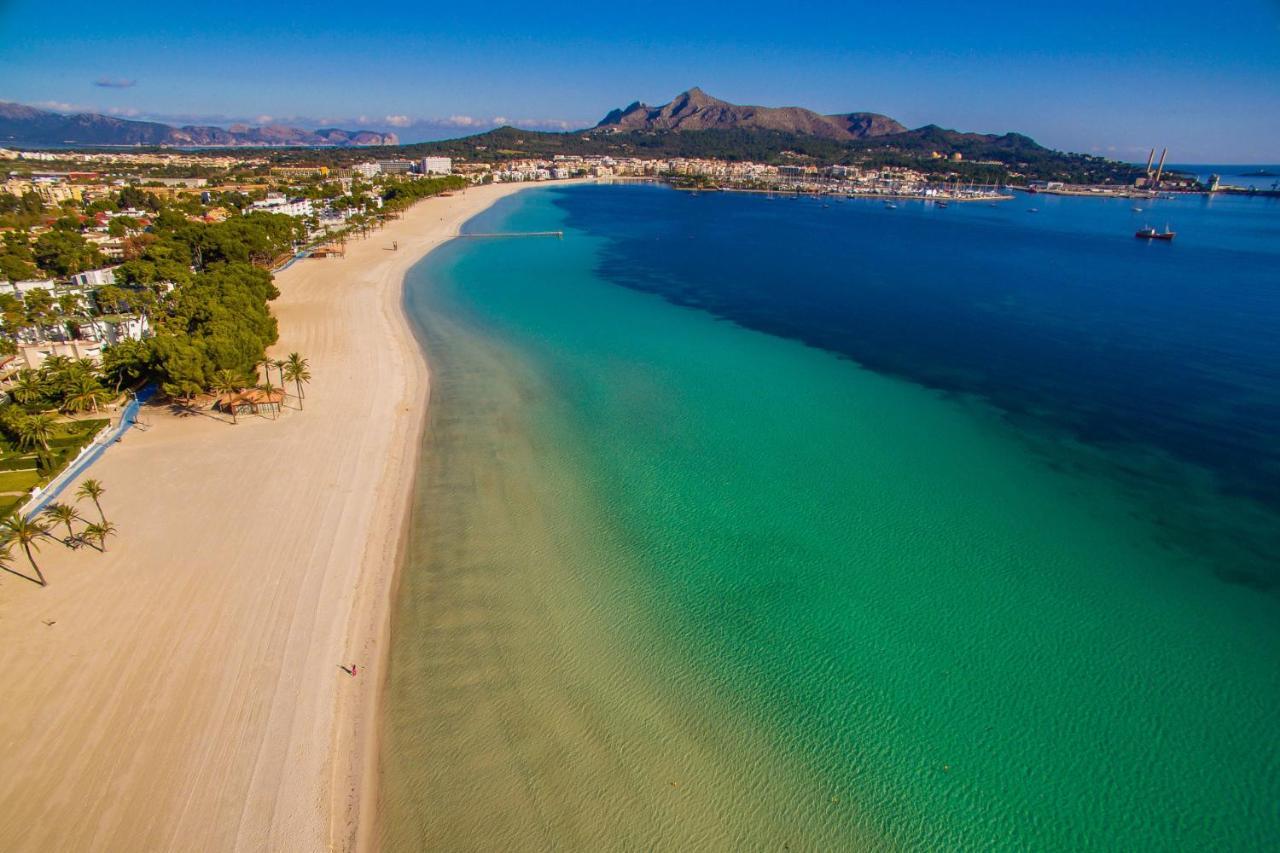 Ideal Property Mallorca - Delicias 阿尔库迪亚 外观 照片