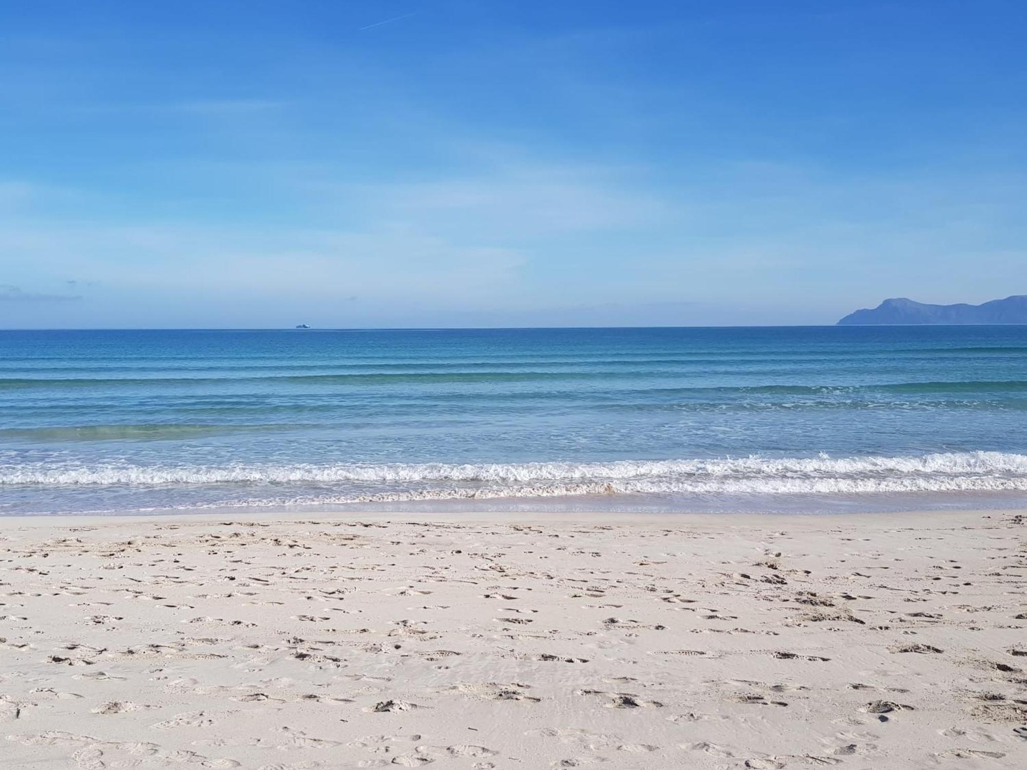Ideal Property Mallorca - Delicias 阿尔库迪亚 外观 照片
