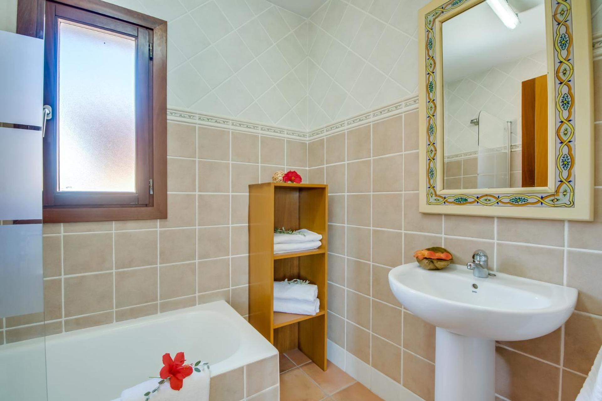 Ideal Property Mallorca - Delicias 阿尔库迪亚 外观 照片